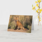 ヤングレッドキツネアットゴールデンアワー カード (黄色い花)