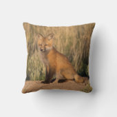 ヤングレッドキツネアットゴールデンアワー クッション (裏面)