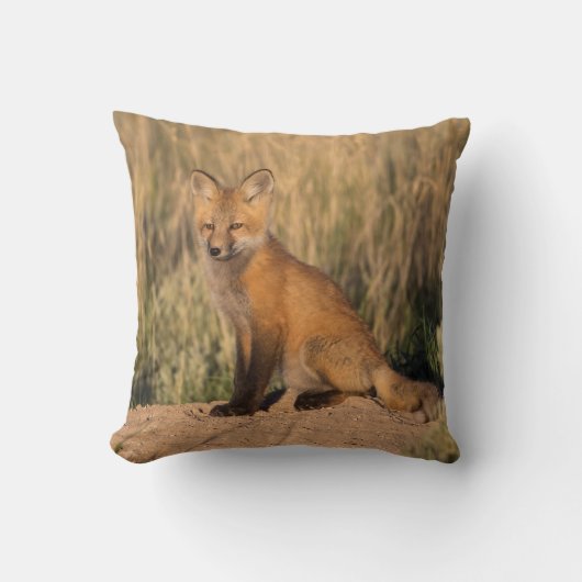 ヤングレッドキツネアットゴールデンアワー クッション (正面)