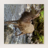 ヤングレッドディアーオンリバージグソーパズル ジグソーパズル (横)