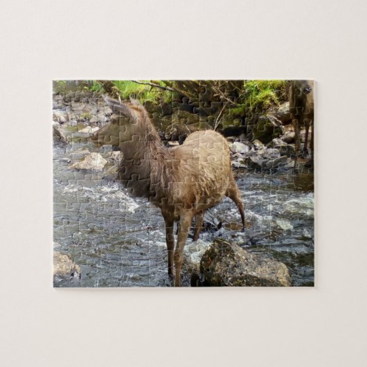 ヤングレッドディアーオンリバージグソーパズル ジグソーパズル (横)