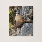 ヤングレッドディアーオンリバージグソーパズル ジグソーパズル (縦)