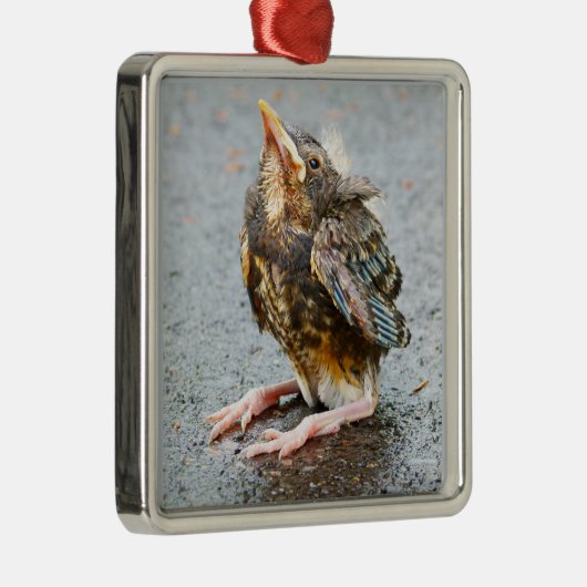 ヤングロビンルックアップオーナメント メタルオーナメント (右)