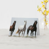 ヤングワイルドスタリオン カード (黄色い花)