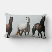 ヤングワイルドスタリオン ランバークッション (正面)