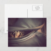 ヤング虎猫子猫 ポストカード (正面/裏面)