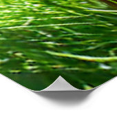 ヤング・オランウタン深い考えイン ポスター (角)