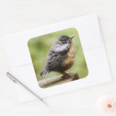 ヤング・ロビン スクエアシール (封筒)