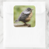 ヤング・ロビン スクエアシール (バッグ)