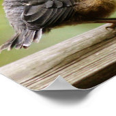 ヤング・ロビン ポスター (角)