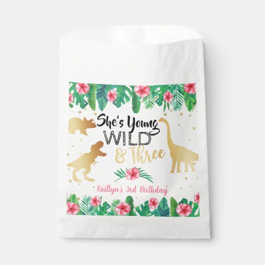 ヤング・ワイルドと3つの恐竜の女の子3誕生日 フェイバーバッグ (正面)