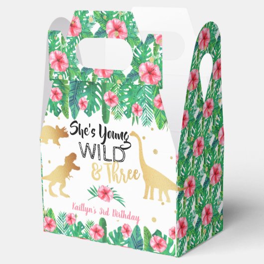 ヤング・ワイルドと3つの恐竜の女の子3誕生日 フェイバーボックス (オープン)