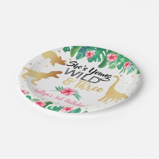 ヤング・ワイルドと3つの恐竜の女の子3誕生日 ペーパープレート (アングル)