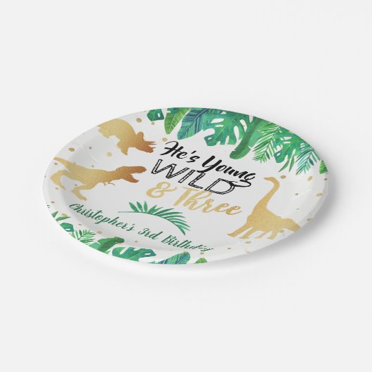 ヤング・ワイルドと3つの恐竜の少年たち第3誕生日 ペーパープレート (アングル)