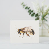 ヤン・ファン・ケッセルによる『9匹の昆虫の習作集』より Bee ポストカード (スタンド正面)