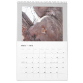 ヤン・フィッツジェラルド写真カレンダーbyヤンツ カレンダー (3月 2023)