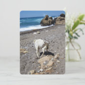 ヤートオンビーチフラットホリデーカード シーズンカード (スタンド正面)