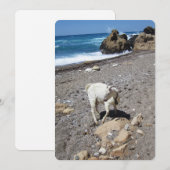 ヤートオンビーチフラットホリデーカード シーズンカード (正面/裏面)