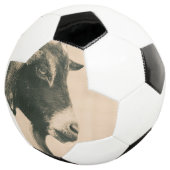 ヤートプロフィール サッカーボール (3/4)