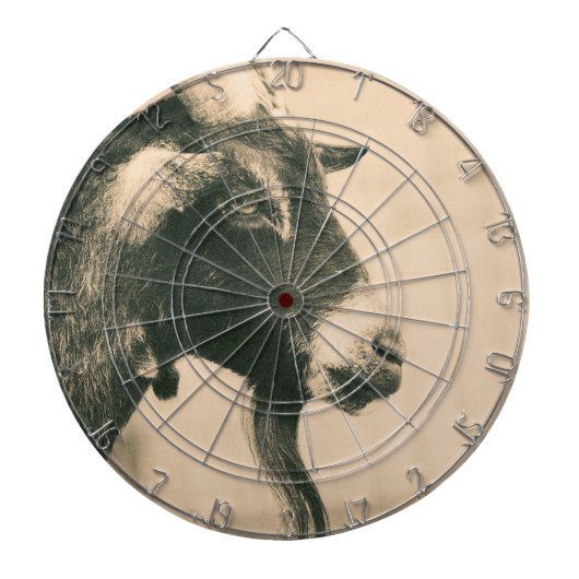 ヤートプロフィール ダーツボード (正面)