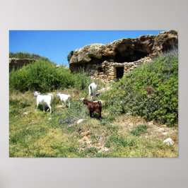 ヤートリトリート ポスター