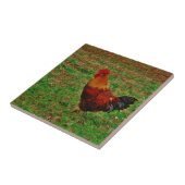 ヤードのオンドリ タイル (側面)