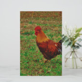 ヤードのオンドリ 便箋 (スタンド正面)