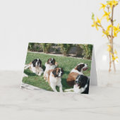 ヤードのSt. Bernards カード (黄色い花)