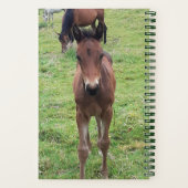 ヤード用獣医手帳 ノートブック (裏面)