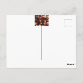 ヤーニー・ベア ポストカード (裏面)