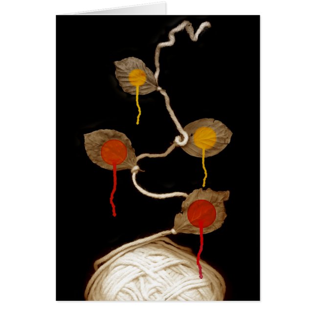 ヤーンの開花2013年 (正面)