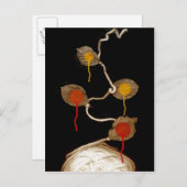 ヤーンの開花2013年 ポストカード (正面/裏面)