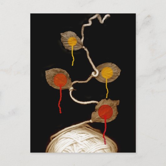 ヤーンの開花2013年 ポストカード (正面)