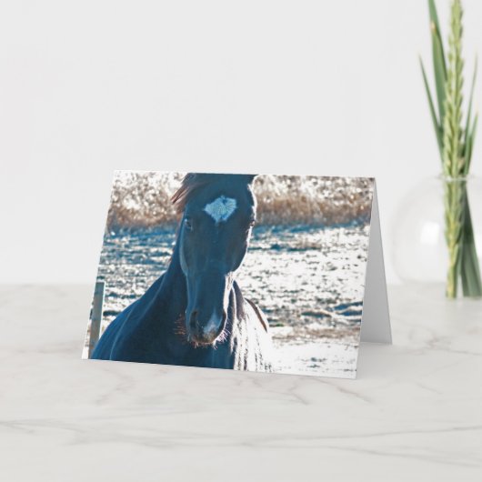 ヤ来ー カード (正面)