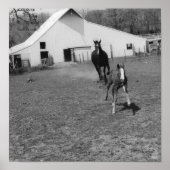 ヤ来ー ポスター (正面)