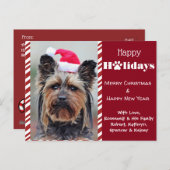 ユアペッツフォトホリデー ポストカード (正面/裏面)