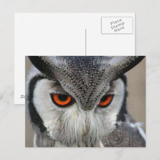 ユイレン ポストカード (正面/裏面)