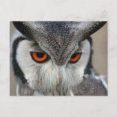 ユイレン ポストカード (正面)