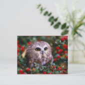 ユイレン ポストカード (スタンド正面)