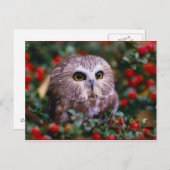 ユイレン ポストカード (正面/裏面)