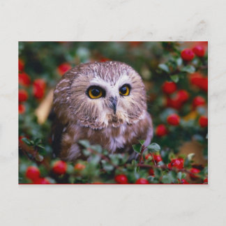 ユイレン ポストカード