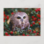 ユイレン ポストカード (正面)