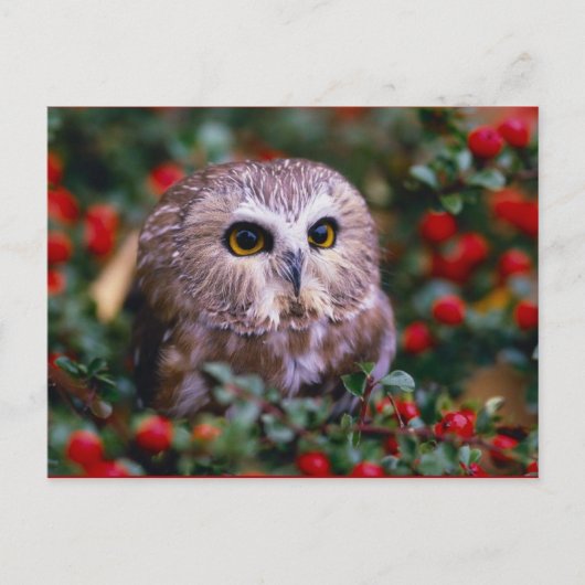 ユイレン ポストカード (正面)