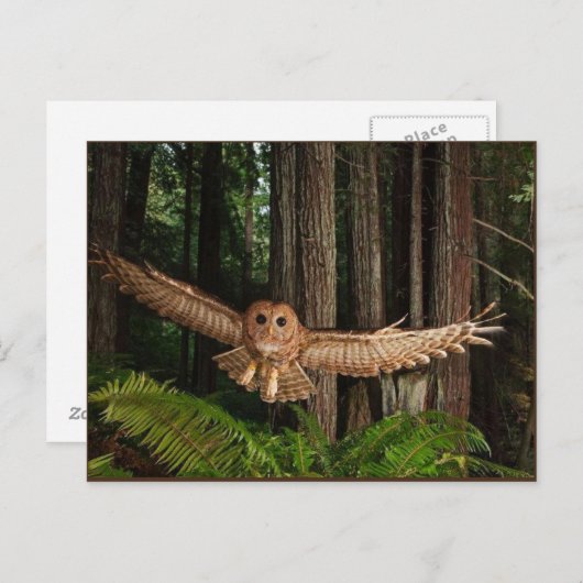 ユイレン ポストカード (正面/裏面)