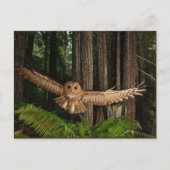 ユイレン ポストカード (正面)