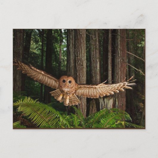 ユイレン ポストカード (正面)