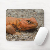 ユウロマスチュ マウスパッド (マウス)