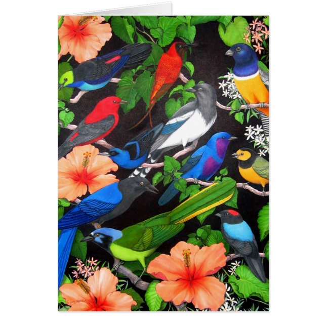 ユカタン半島の鳥 (正面)