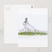 ユキウサギ ポストカード (正面/裏面)