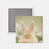 ユキノシタ2 マグネット (正面/裏面)